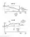 Fig. 04 - COMMODITY EXCHANGE FOR PRE-PURCHASING COMMODITIES AND TRADING FUTURE RIGHTS TO RECEIVE COMMODITIES