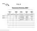 Fig. 07 - Emergency Response Management System and Method