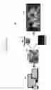 Fig. 02 - Method and apparatus for storing, processing and reconstructing full resolution image out of sub band encoded images