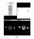 Fig. 05 - Method for acquiring and processing medical images