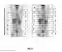 Fig. 07 - Method for acquiring and processing medical images