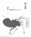 Fig. 15 - Method and system for image processing to determine patient-specific blood flow characteristics
