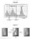 Fig. 23 - Medical information processing system, non-transitory computer readable storage medium, and ultrasound diagnosis apparatus