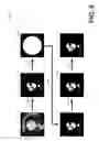 Fig. 07 - Methods and systems for normalizing contrast across multiple acquisitions