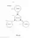 Fig. 14 - Distributed security system over multiple sites