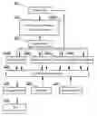 Fig. 01 - Speech recognition system and a method of using dynamic bayesian network models