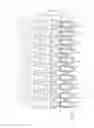Fig. 06 - Flexure chain blank sheet for disk drive suspension