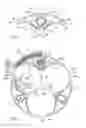 Fig. 02 - Power cable assembly device and a power cable provided with such a device