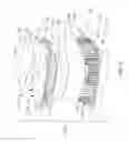 Fig. 10 - Embedded magnetic components and methods