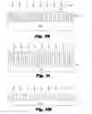Fig. 07 - Iterative self-aligned patterning