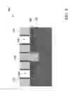 Fig. 16 - Method and structure for FinFET isolation