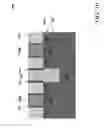 Fig. 18 - Method and structure for FinFET isolation