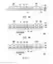 Fig. 08 - Chip package structure