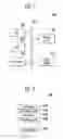 Fig. 05 - Semiconductor device and method of manufacturing the same