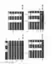 Fig. 06 - Three dimensional NAND string memory devices and methods of fabrication thereof