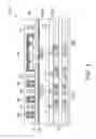 Fig. 06 - Grids in backside illumination image sensor chips and methods for forming the same