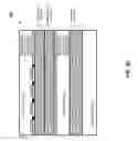 Fig. 14 - Method of fabricating multi-wafer image sensor