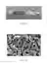 Fig. 07 - Pre-Equilibrium System and Method Using Solid-State Devices as Energy Converters Using Nano-Engineered Porous Network Materials
