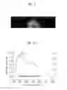 Fig. 06 - Light emitting device having light extraction structure and method for manufacturing the same
