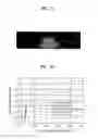 Fig. 15 - Light emitting device having light extraction structure and method for manufacturing the same