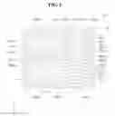 Fig. 02 - Light emitting device, light emitting device package, and lighting apparatus including the package