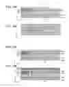 Fig. 06 - Memory device and manufacturing method therefor
