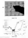 Fig. 14 - LAYER-SELECTIVE LASER ABLATION PATTERNING