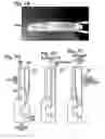 Fig. 03 - Metal-Air Battery with Expandable Anode