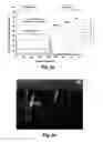 Fig. 04 - Method for preparing an amorphous film made from lithiated metal sulfide or oxysulfide