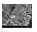 Fig. 03 - Negative electrode material for lithium ion secondary battery