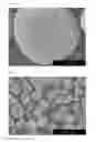 Fig. 03 - POSITIVE ELECTRODE ACTIVE SUBSTANCE PRECURSOR PARTICLES, POSITIVE ELECTRODE ACTIVE SUBSTANCE PARTICLES AND NON-AQUEOUS ELECTROLYTE SECONDARY BATTERY