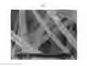 Fig. 06 - Current collector-catalyst monolithic three-dimensional nanofiber network for Li-air batteries and manufacturing method thereof