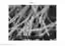 Fig. 14 - Current collector-catalyst monolithic three-dimensional nanofiber network for Li-air batteries and manufacturing method thereof