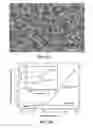 Fig. 03 - Self-biased and sustainable microbial electrohydrogenesis device