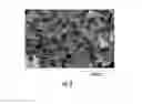 Fig. 03 - Lithium-ion conductive garnet and method of making membranes thereof