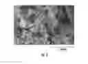 Fig. 04 - Lithium-ion conductive garnet and method of making membranes thereof