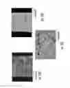 Fig. 15 - Lithium-ion conductive garnet and method of making membranes thereof