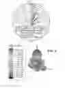 Fig. 07 - Array apparatus comprising a dielectric resonator array disposed on a ground layer and individually fed by corresponding signal lines, thereby providing a corresponding magnetic dipole vector