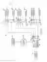 Fig. 08 - Smart electrical outlets and associated networks