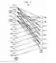 Fig. 06 - Hardware-efficient syndrome extraction for entangled quantum states