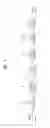 Fig. 05 - Digital broadcasting system and method of processing data