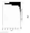 Fig. 08 - Calibration data