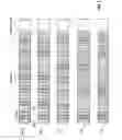Fig. 08 - Method and apparatus for improving resource usage in communication networks using interference cancelation