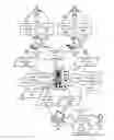 Fig. 01 - Expert answer platform methods, apparatuses and media