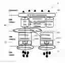 Fig. 01 - Method for configuring an M2M system