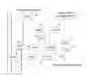 Fig. 01 - Scalability of providing packet flow management
