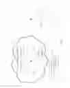 Fig. 10 - SCALABLE GROUPS OF AUTHENTICATED ENTITIES