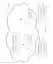 Fig. 15 - SCALABLE GROUPS OF AUTHENTICATED ENTITIES