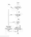 Fig. 05 - Pre-authorizing a client application to access a user account on a content management system