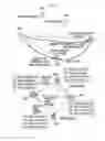 Fig. 07 - METHOD FOR GENERATING GROUP OF CONTENT CACHE AND METHOD FOR PROVIDING CONTENT